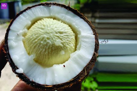 Mudi