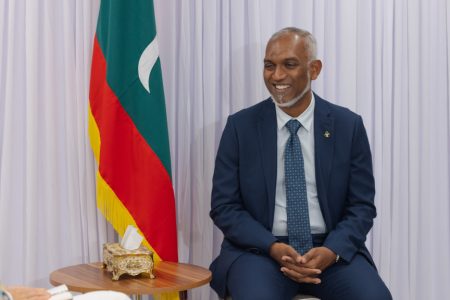PreElecMuizzu