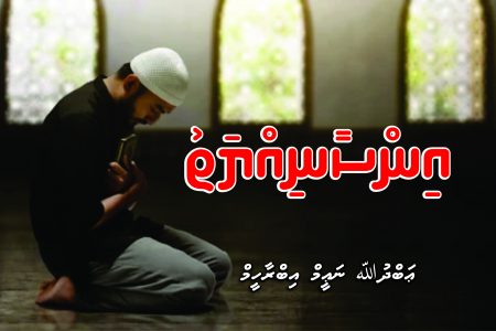 insan