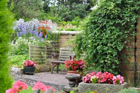 stock-photo-garden-house-england-patio-backyard-great-britain-flowers-yard-cottage-23b40b45-04dc-4f95-9fb3-80d6009a03e7